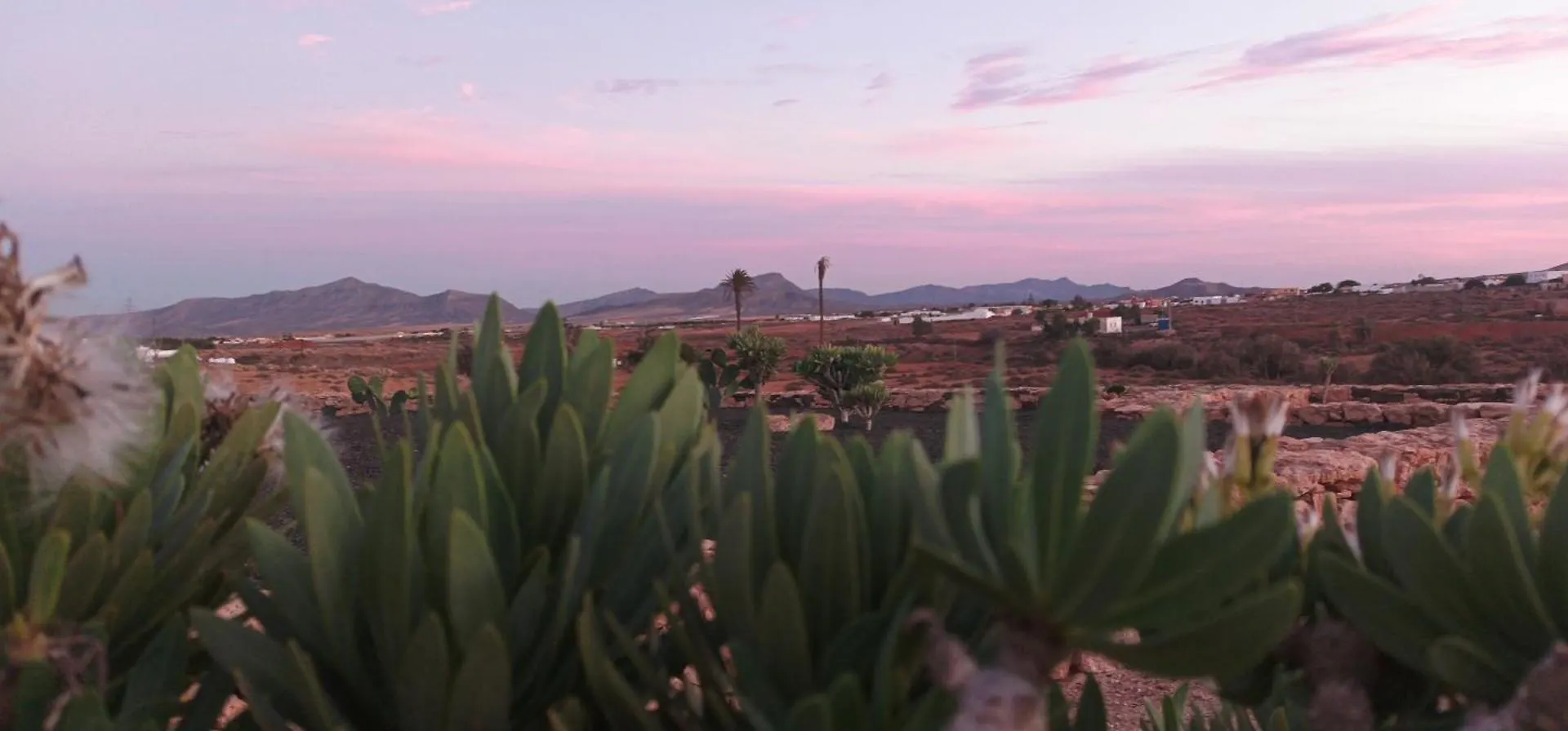 Typical House And Best Location To Visit Fuerteventura, Wifi And Parking Free - Los Nopales Fuerteventura Antigua  0*, Antigua (Fuerteventura)