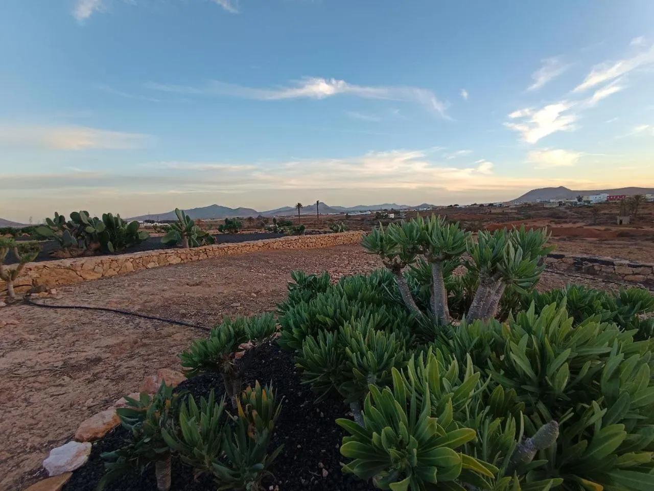 Los Nopales Fuerteventura Antigua  Holiday home